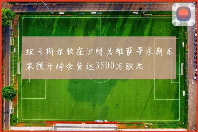 纽卡斯尔联在沙特为维萨寻求新东家预计转会费达3500万欧元